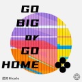 모 아니면 도 (Go Big or Go Home)