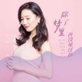 江小城 - 除了梦里再没见过你