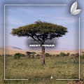 Mert Yonar、Satsuma Music - Magarini