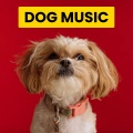 Music For Cats、Dog Music Club、Calming for Dogs - Warm Music for The Happiest Dogs