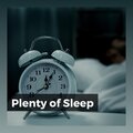 Plenty of Sleep