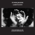 Tunde Jegede - Hill Of Solitude / Valley Of Festivity