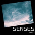 SENSES - 再见青春