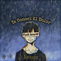 Ya Conocí el Dolor (Remix)