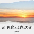 铁锤妹妹 - 原来你也在这里