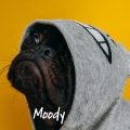 Moody (feat. Kideko TCTS & Just Kiddin)(Explicit)