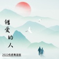 （错爱的人）伤感粤语版