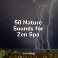 50 Nature Sounds for Zen Spa