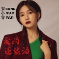 宋小睿 - 爱的迷魂汤