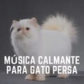 Música Calmante para Gato Persa
