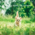 PetChords - Splendid Serenity