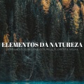 Elementos Da Natureza: Pensamentos Relaxantes Pela Floresta Velha
