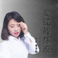 爱过的伤痕 (女声版)