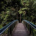 Chill Out Melodies to Help You Focus