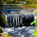 Nature Relaxation: Trickling Water Stream to Calm Down Vol. 1