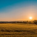 Binaural Beats、Hipnose Natureza Sons Coleção、Calming Sounds - Pillows Aplenty