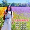 五彩斑斓的梦