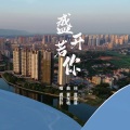 龚铃铃 - 盛开若你