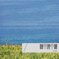 王玉鑫 - 啷个哩个啷