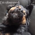 sister lottle - I'm obsessed