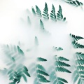 Echoes Of Nature、Meditation Awareness、Meditation - Mountains in the Sun