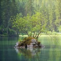 Academia de Música con Sonidos de la Naturaleza、Alpha Waves、Mindfulness Mediation World - Mist on the Water