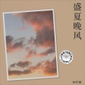 林宇墨 - 盛夏晚风