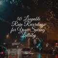 50 Loopable Rain Recordings for Your Spiring Lullaby