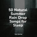 50 Natural Summer Rain Drop Songs for Sleep