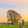 Relaxing Nature Music、Musica para Massagem Especialistas、White Noise Baby Sleep - Lullaby
