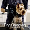 Pet Relax Academy - Animal Companion