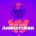 Amsterdam After Disco, Vol. 5