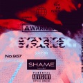 SHAME (Explicit)