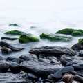 Relaxing Spa Music、Sleep Songs 101、Kings of Nature - Calming Melody