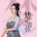 牛瑞晶 - 梦中等着你