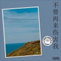 杨梦雅 - 不要再来伤害我