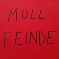 Feinde