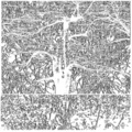 Tam - Modular Memory