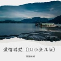 铁锤妹妹 - 爱情错觉