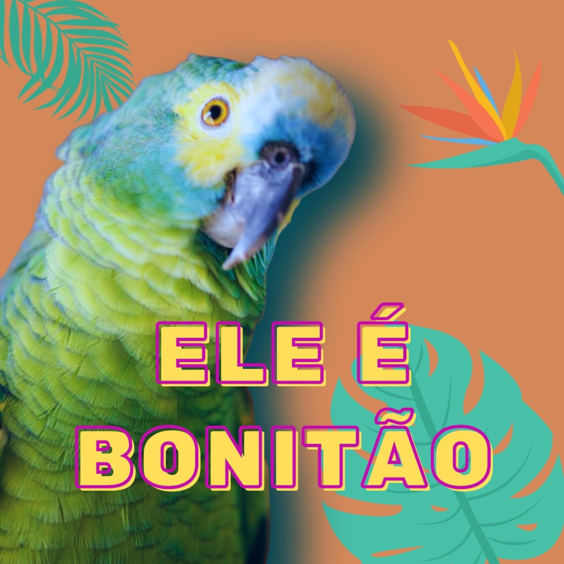 AtilaKw - Ele é bonitão