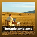 Thérapie ambiante