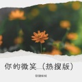 铁锤妹妹 - 你的微笑