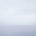 赵闻达 - Memory (入殓师插曲单簧管版本)
