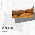 铁锤妹妹 - 曾经心痛