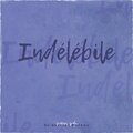 Von VS - Indélébile