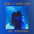 Like I Love You (张贺 remix)