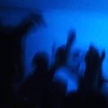 Avery - Buzzed (Explicit)