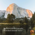Beautiful River Cascades with Bird Sounds Vol. 1