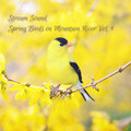 Sleep Repeat、Deep Sleep Music Company、Nature Noise - Luscious Greens