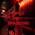DJ Joker - MIX PERREO BRASILEÑO